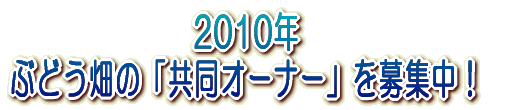 2006年 ぶどう畑の「共同オーナー」を募集中!